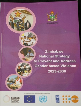 Zimbabwe National GBV strategy 2023 to 2030