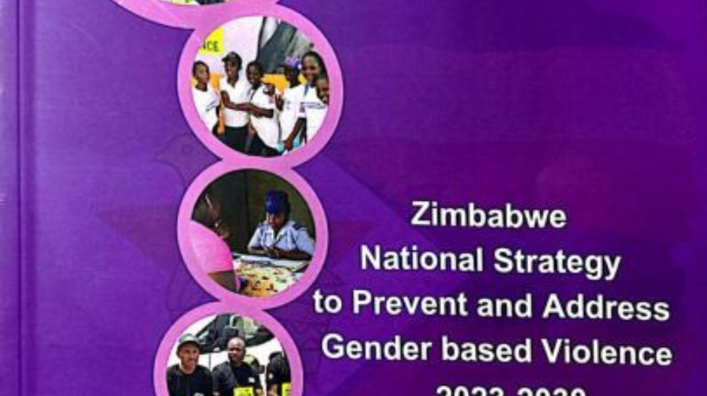 Zimbabwe National GBV strategy 2023 to 2030