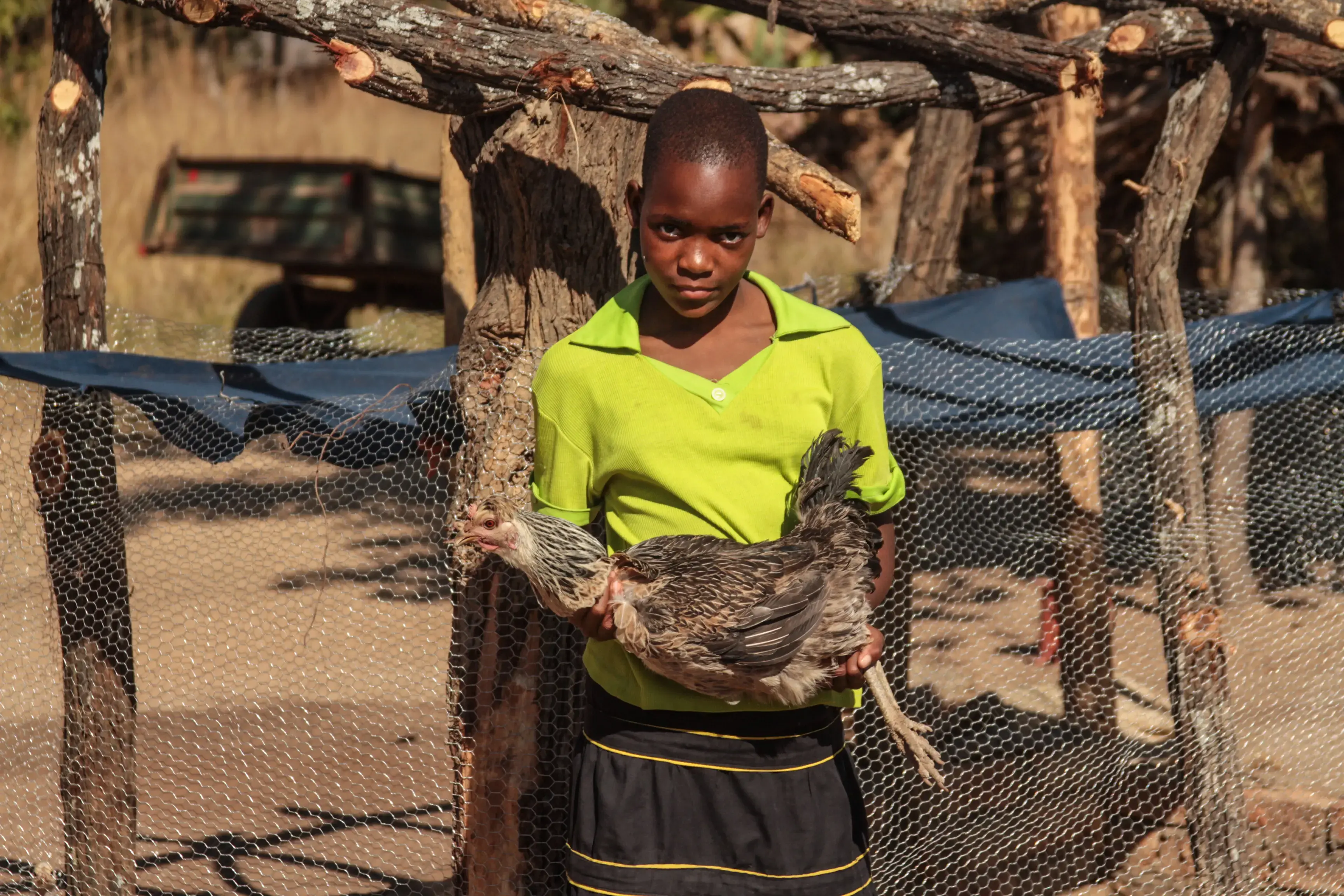 Investing in Teenage Girls in Rural Zimbabwe 